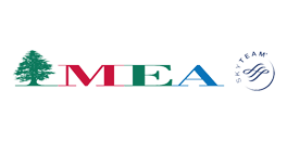 MEA